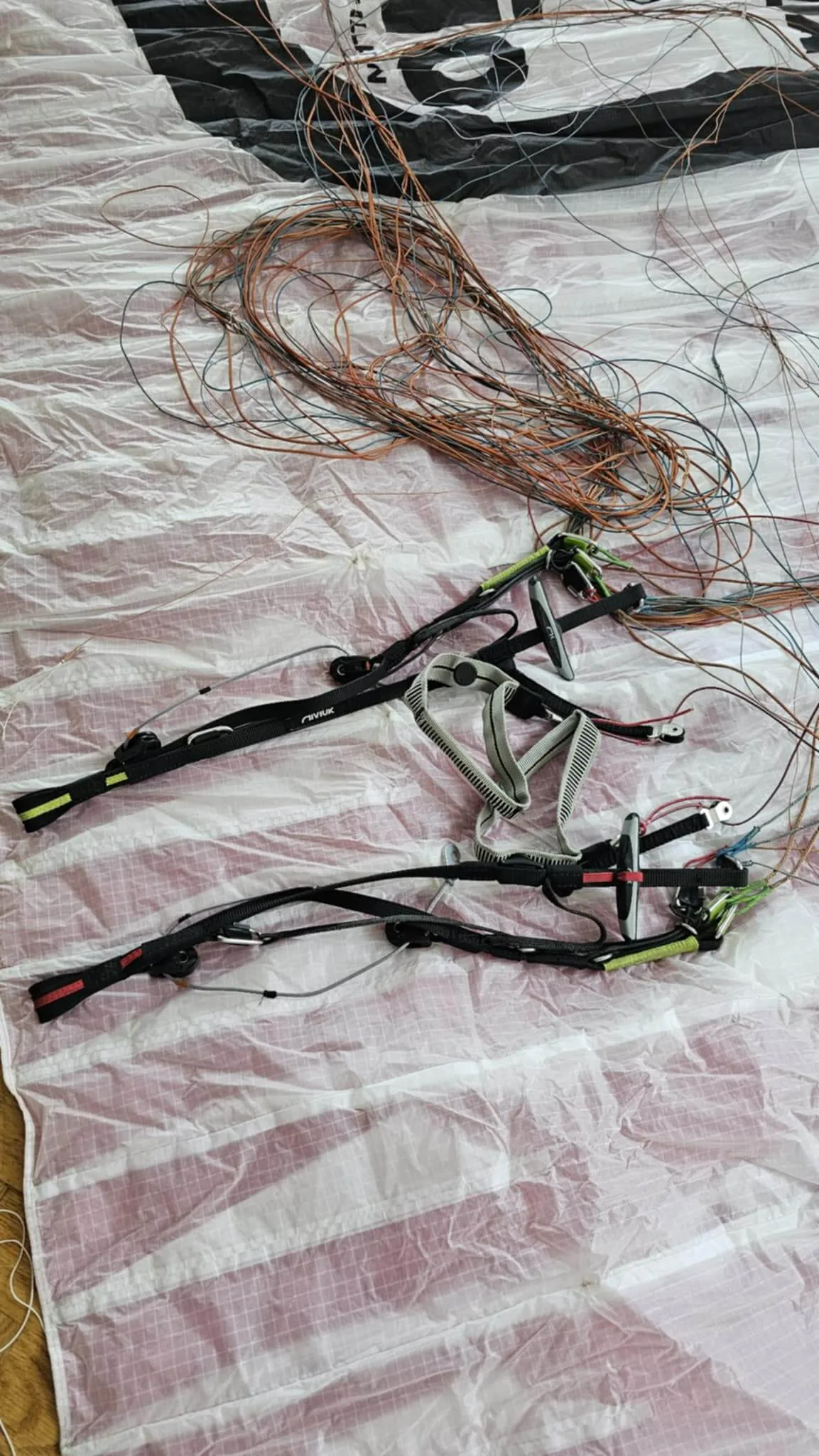 Niviuk Icepeak X-One photo 4