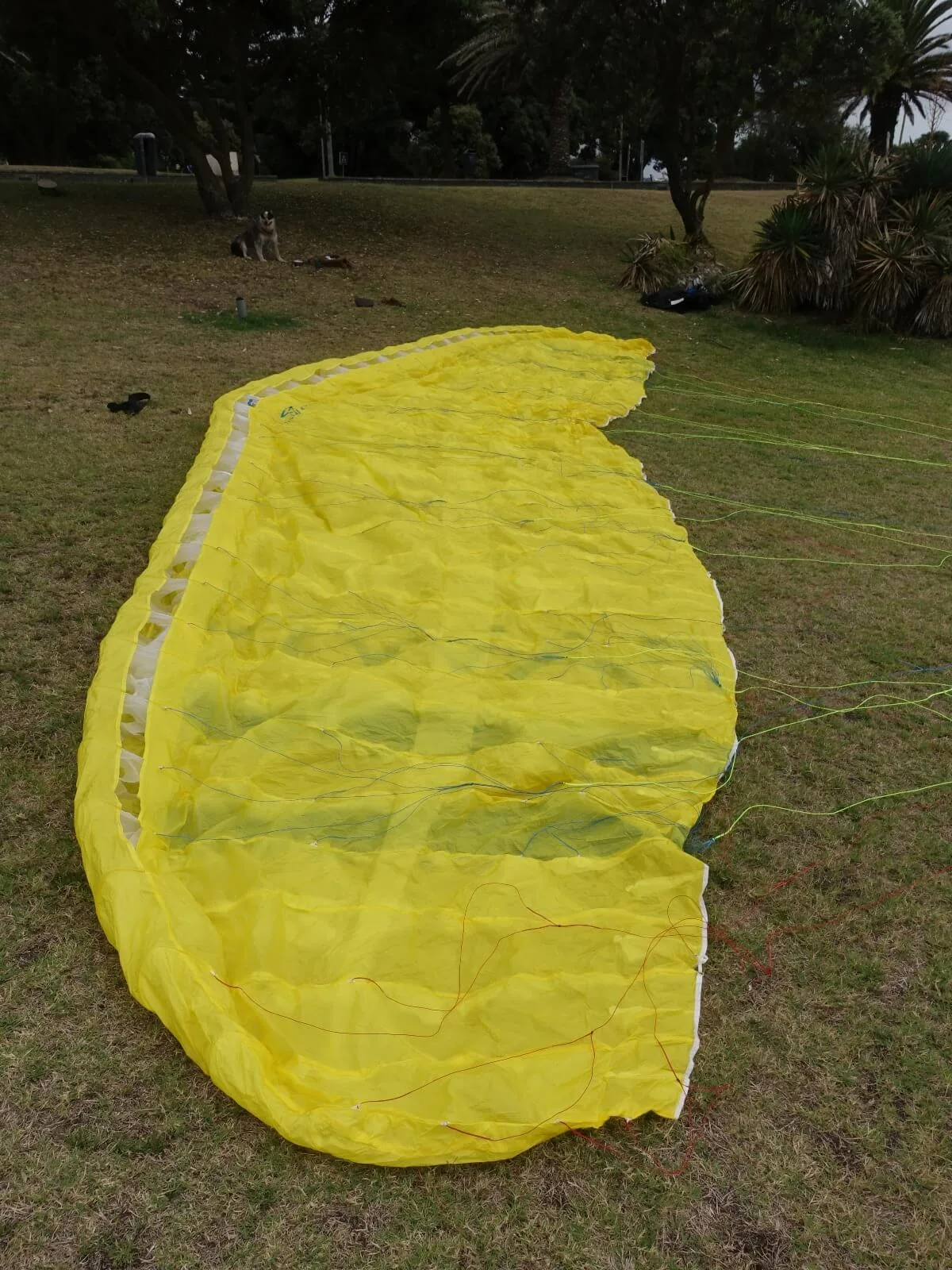 777 Pawn photo 2