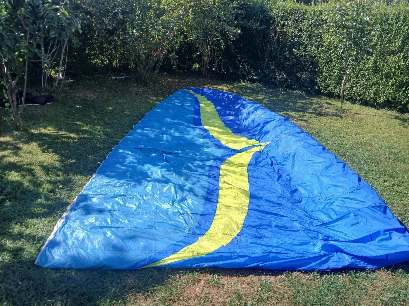 Used Ozone Delta 3 paraglider, size L, excellent condition for sale — photo 1 of 5