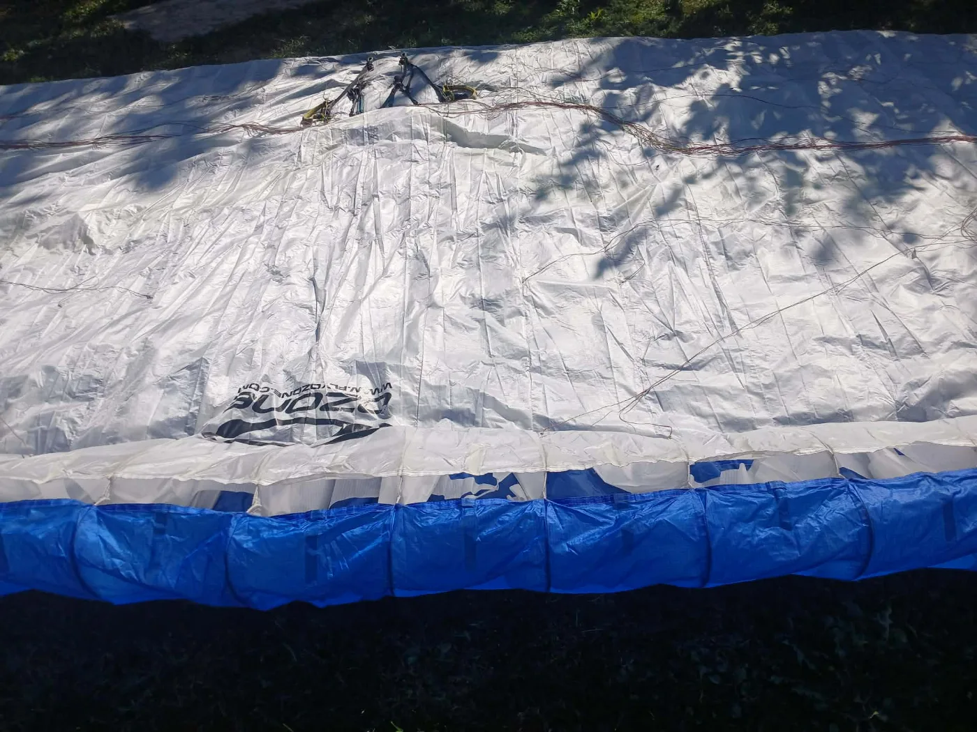 Used Ozone Delta 3 paraglider, size L, excellent condition for sale — photo 4 of 5
