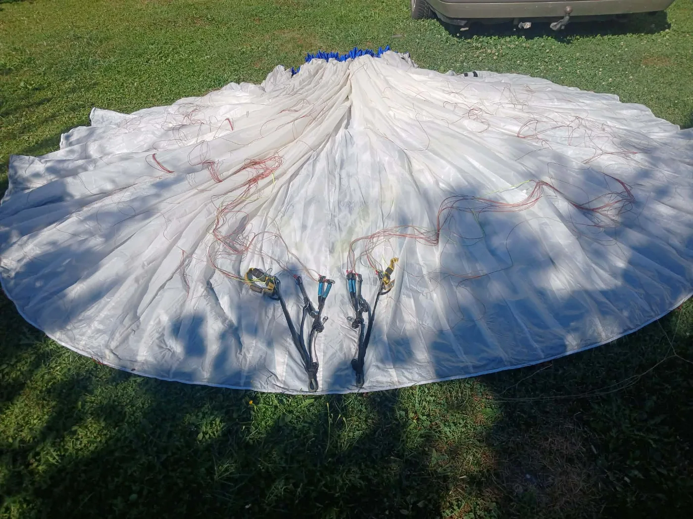 Used Ozone Delta 3 paraglider, size L, excellent condition for sale — photo 5 of 5