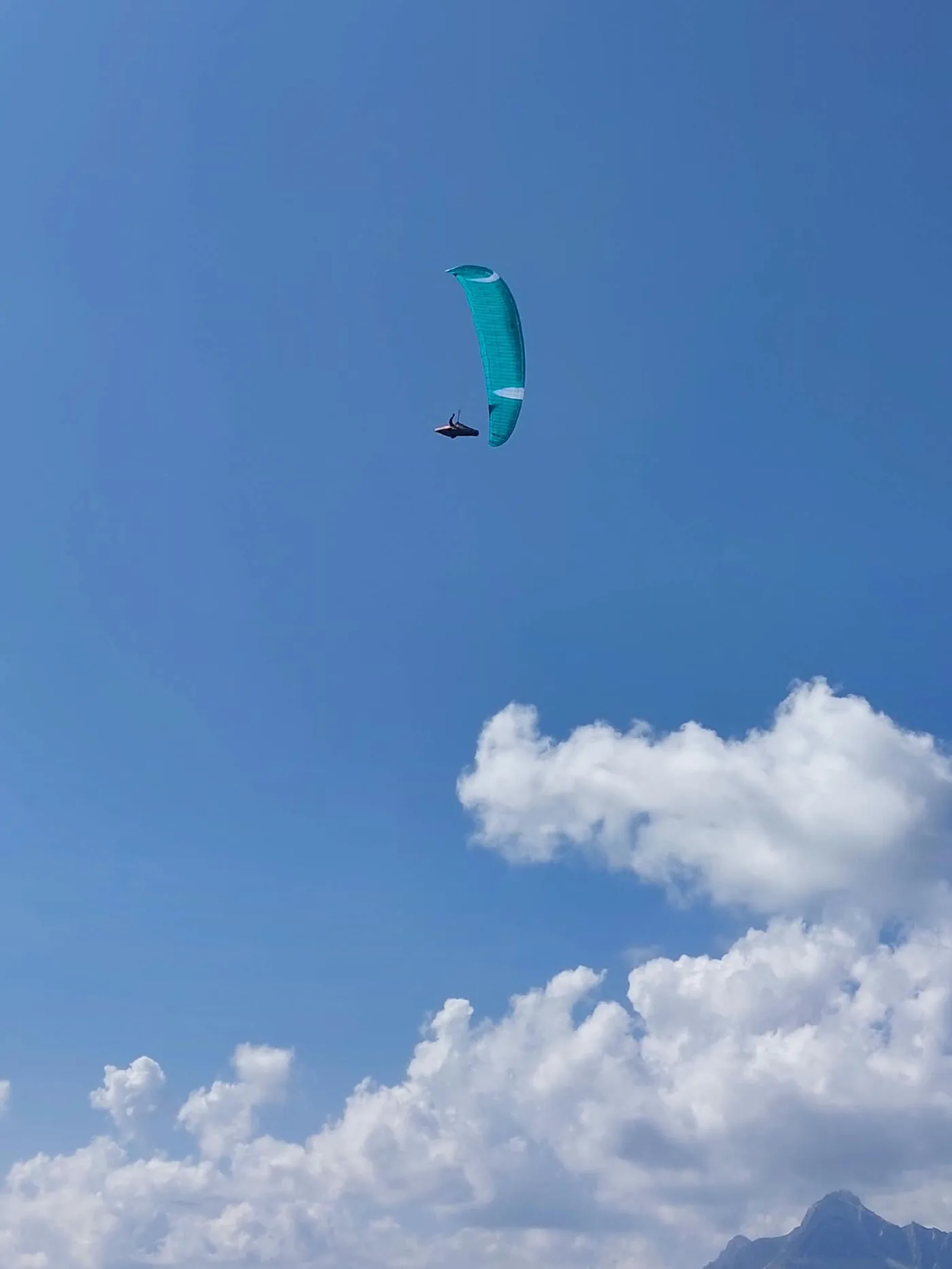 Used Flow Paragliders Mystic+ paraglider, size S, mint condition for sale — photo 4 of 4