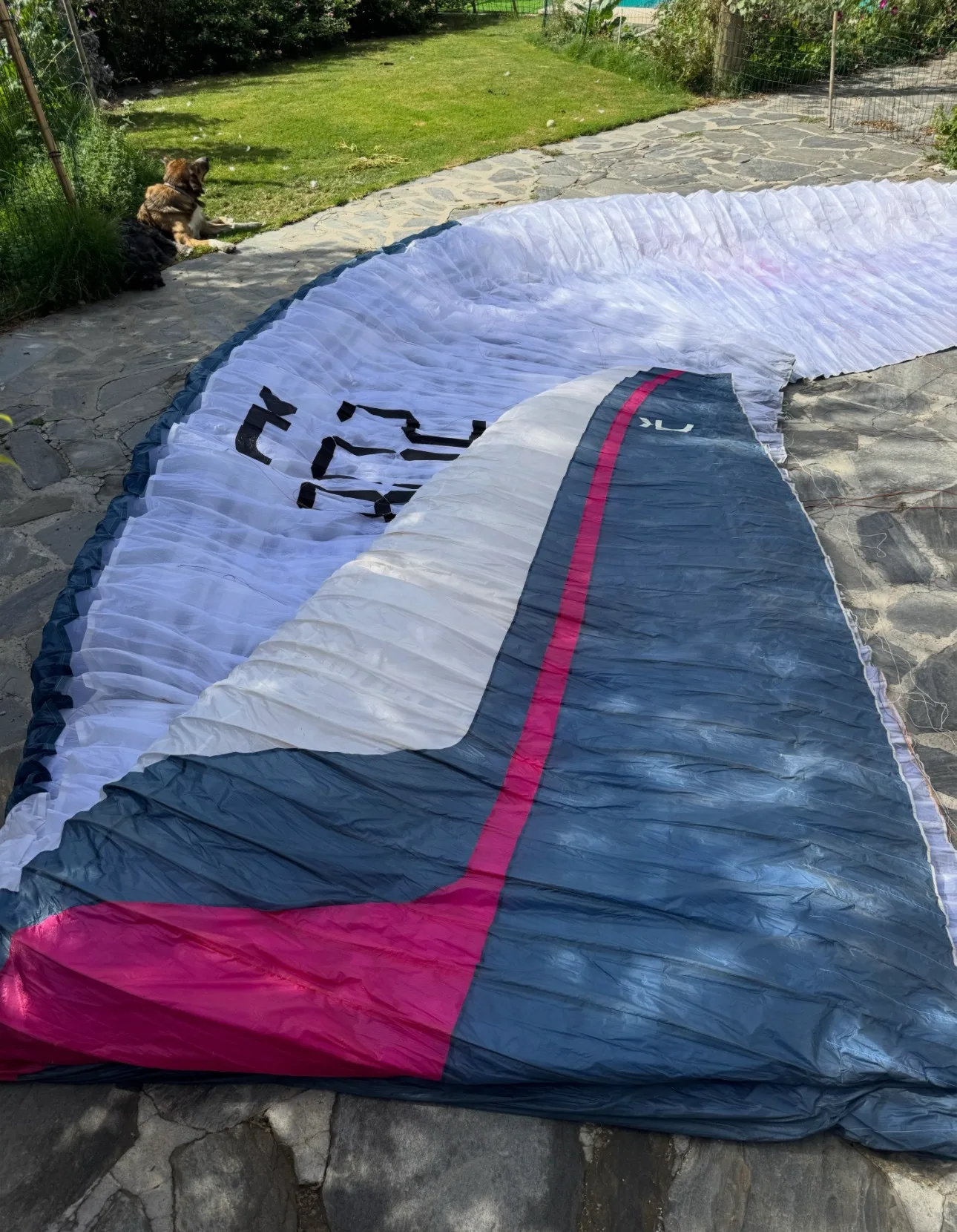 Used Niviuk XONE paraglider, size M, excellent condition for sale — photo 2 of 5