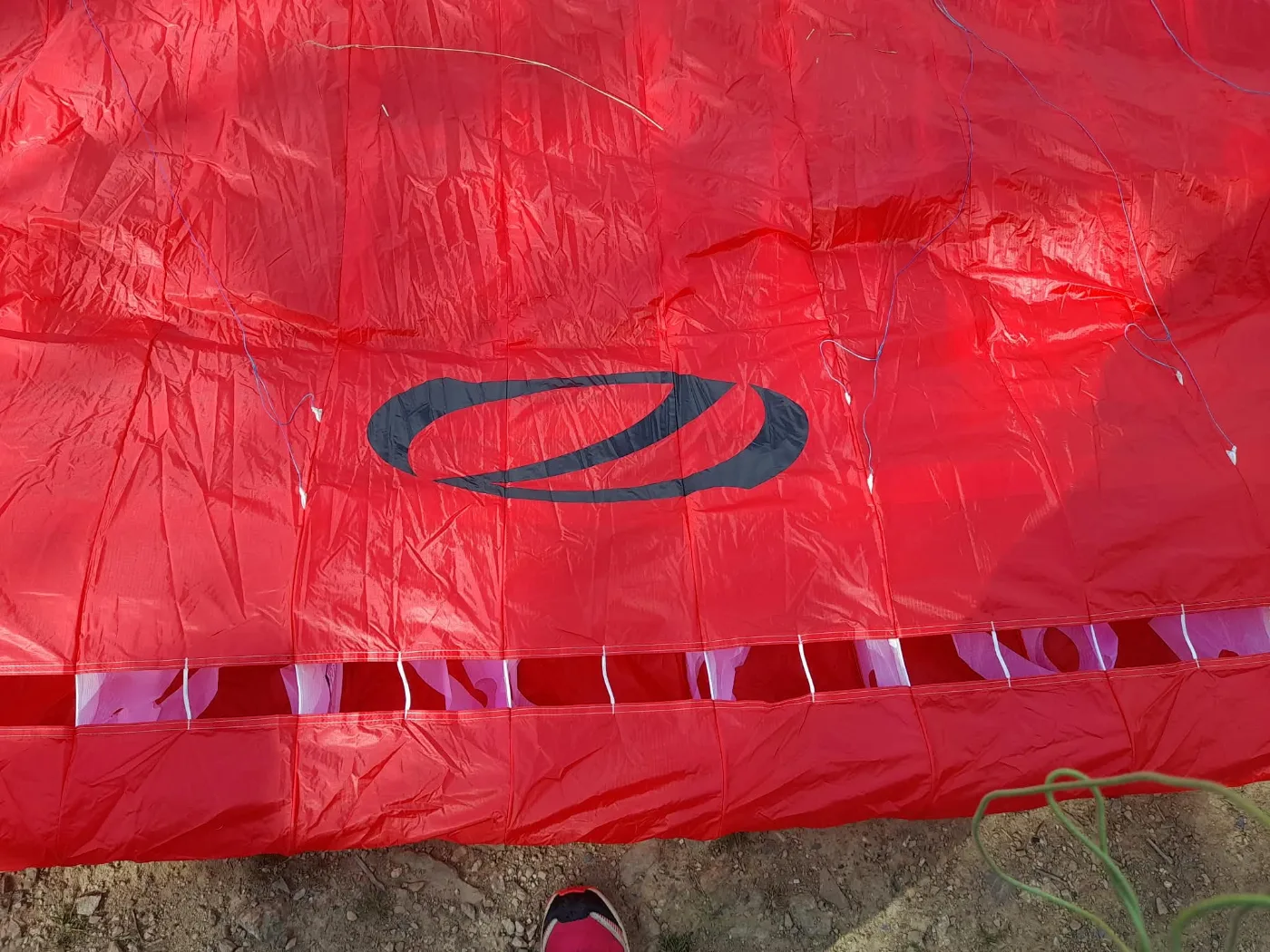 Used Ozone Delta 5 paraglider, size ML, mint condition for sale — photo 2 of 5
