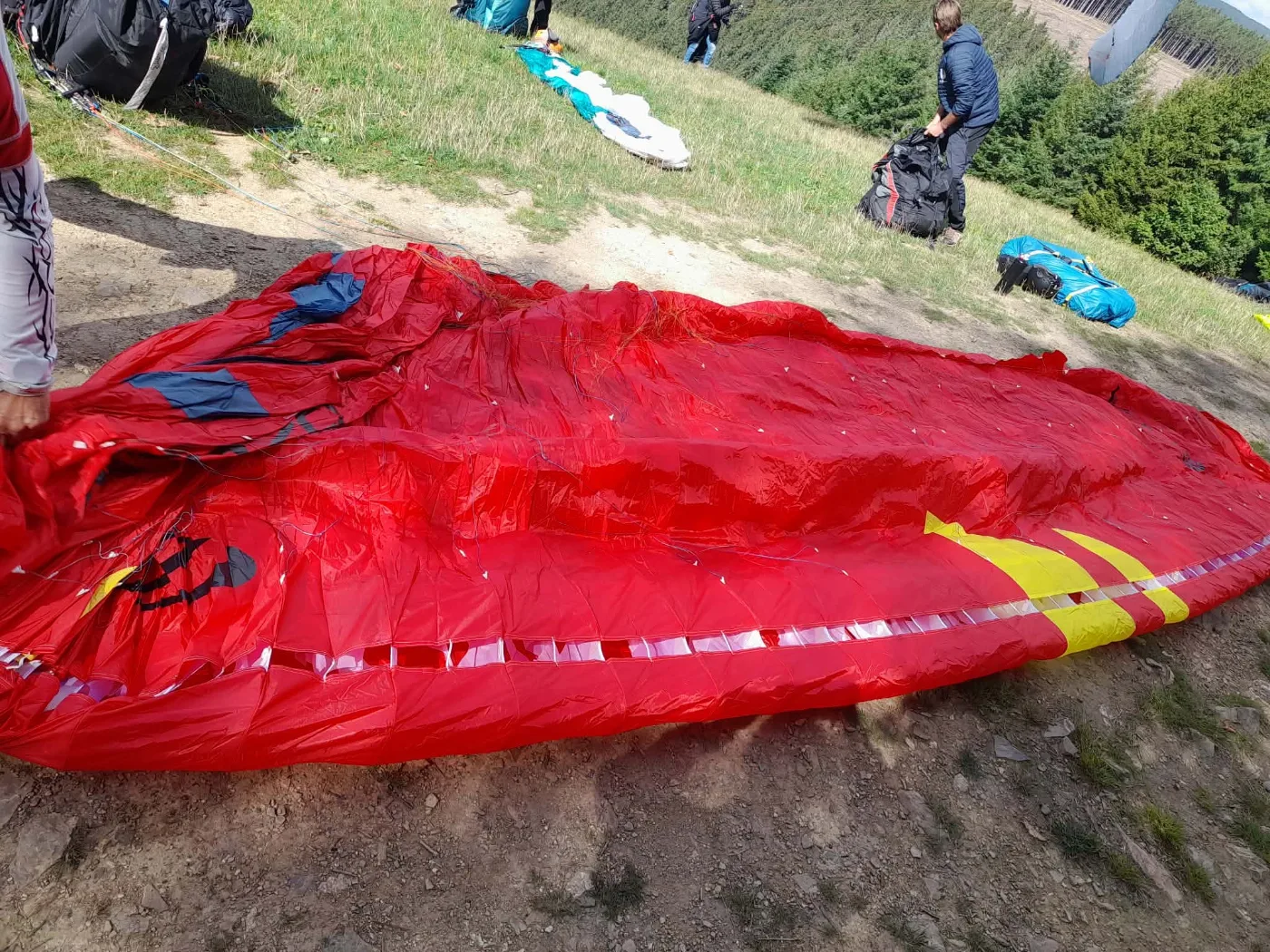 Used Ozone Delta 5 paraglider, size ML, mint condition for sale — photo 4 of 5