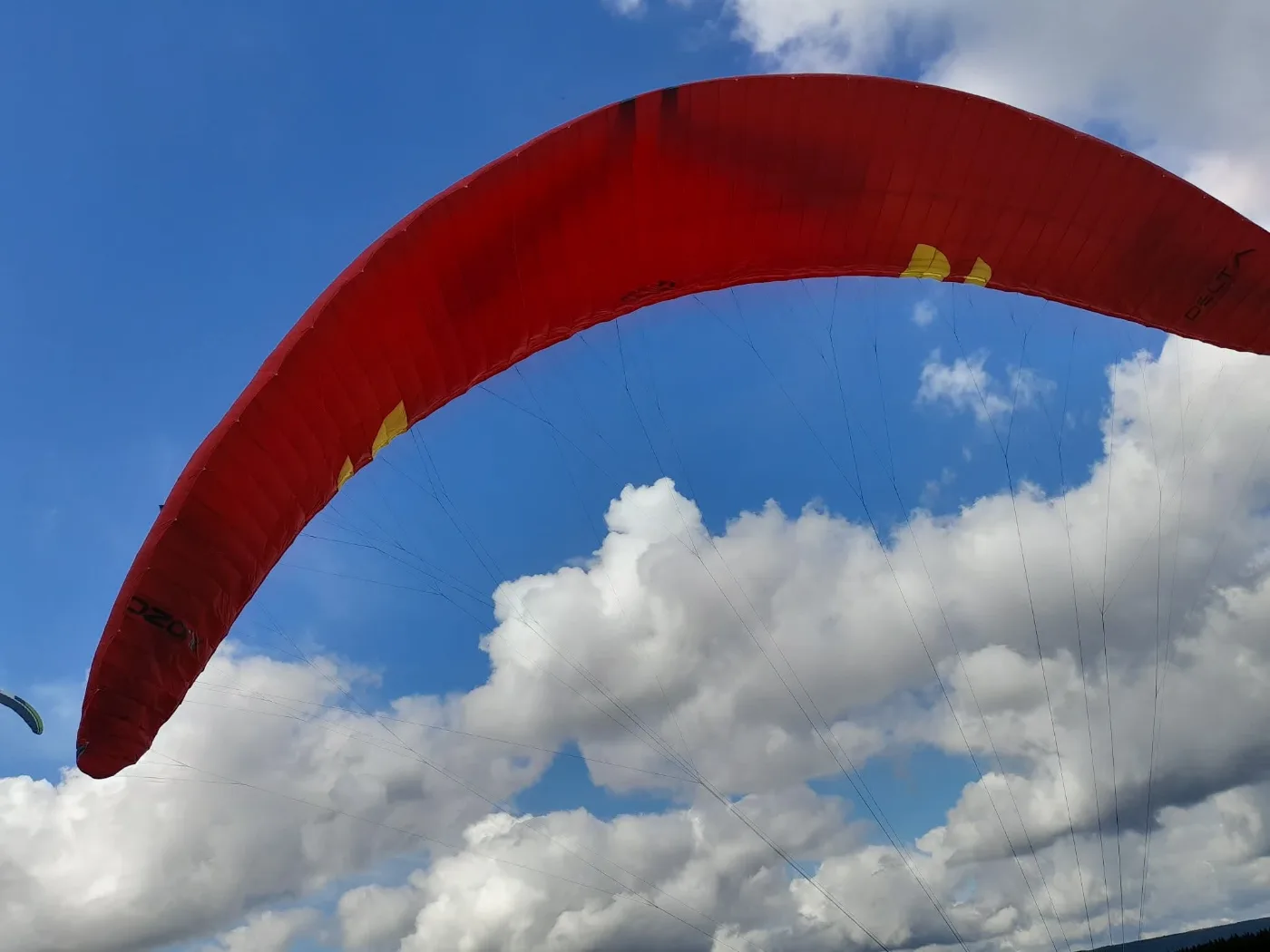 Used Ozone Delta 5 paraglider, size ML, mint condition for sale — photo 5 of 5