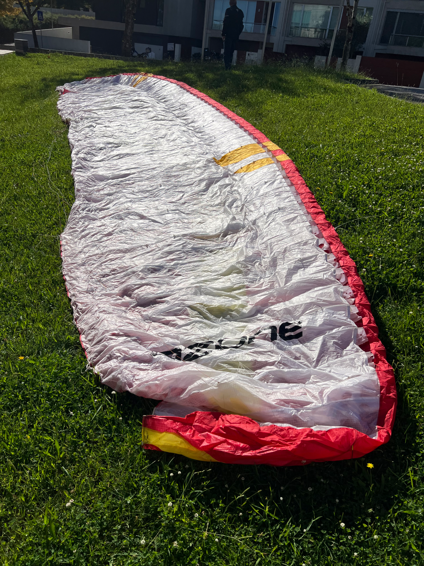 Used Ozone Zeno 2 paraglider, size L, very good condition for sale — photo 1 of 5