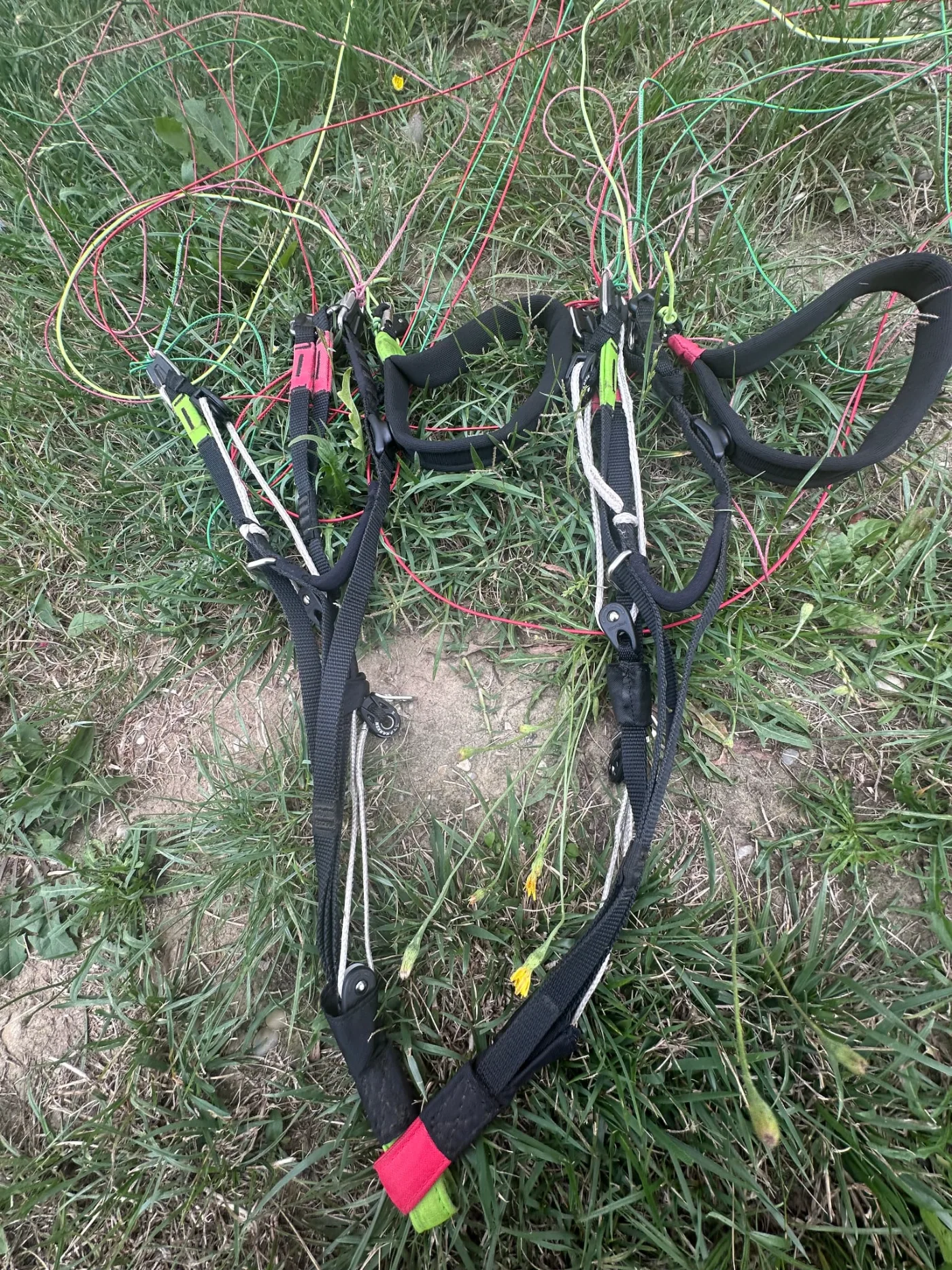 Used BGD Base 2 paraglider, size M, very good condition for sale — photo 2 of 5