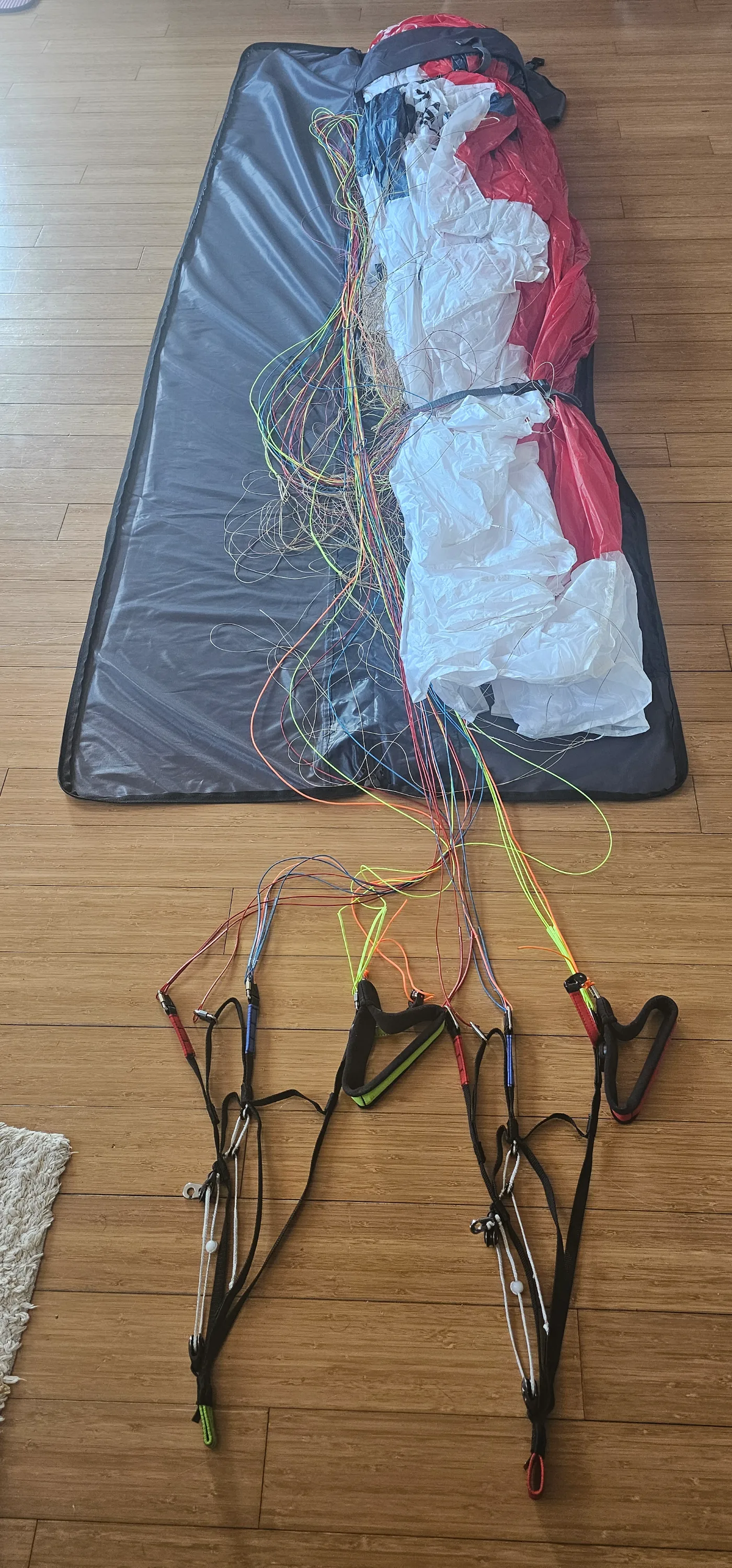 Used Swing Arcus 2 paraglider, size XS, unused for sale — photo 1 of 3