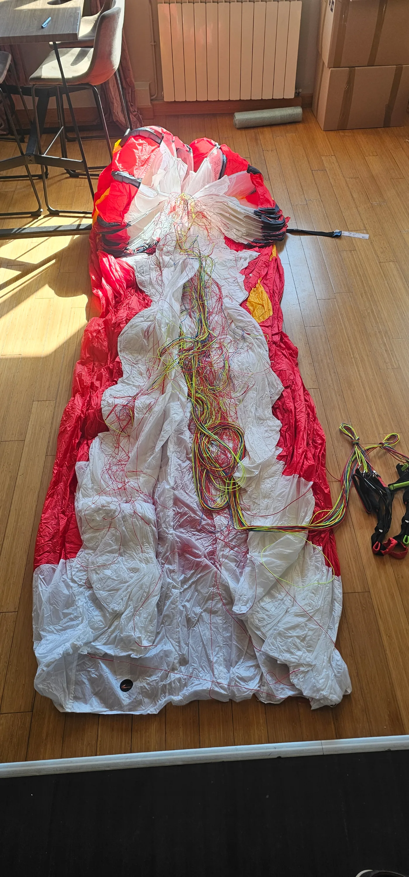 Used Swing Twin 3 RS tandem paraglider, size 42, unused for sale — photo 5 of 5
